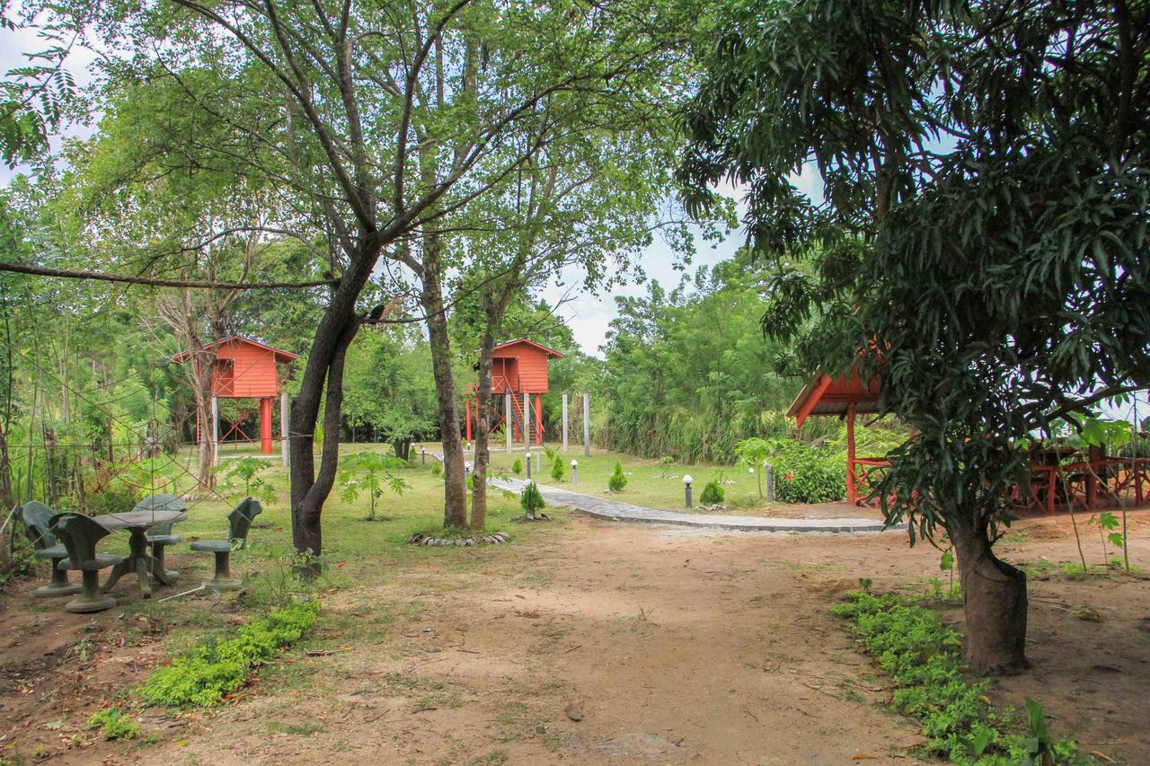 Sigiri Royal Point Tree House Hotel Sigiriya Bagian luar foto