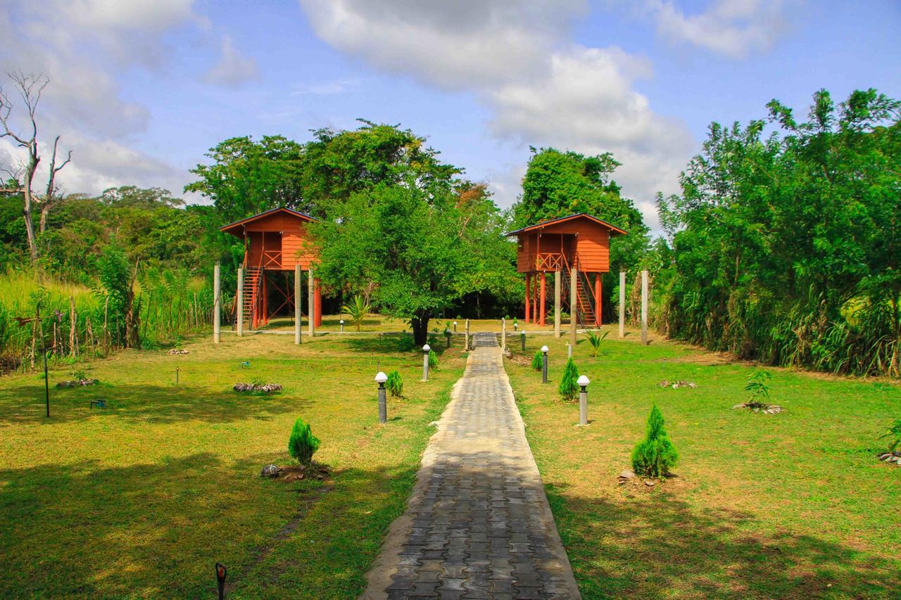Sigiri Royal Point Tree House Hotel Sigiriya Bagian luar foto