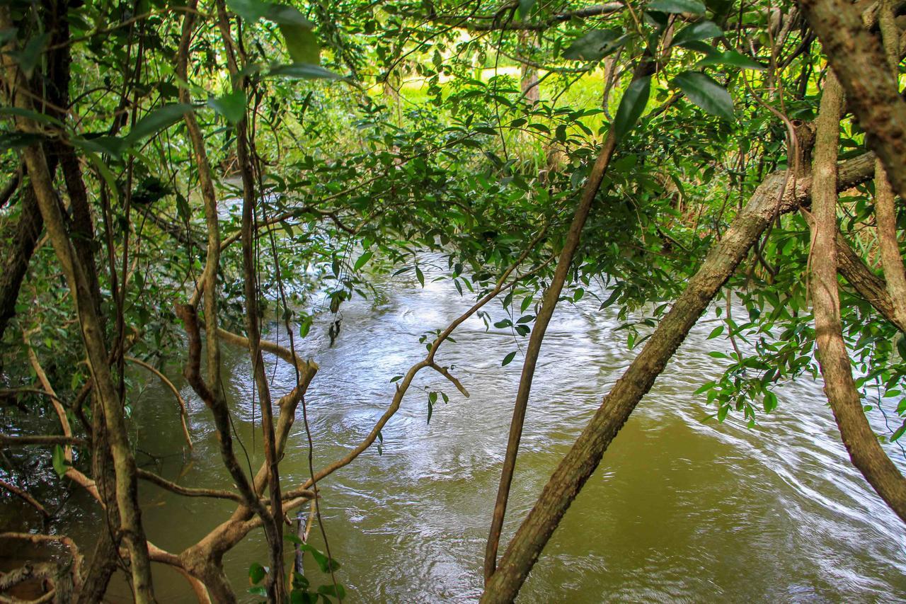 Sigiri Royal Point Tree House Hotel Sigiriya Bagian luar foto