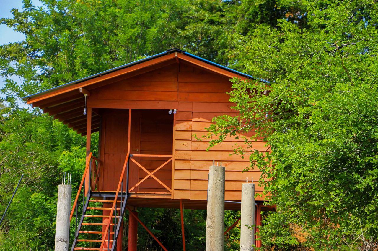 Sigiri Royal Point Tree House Hotel Sigiriya Bagian luar foto
