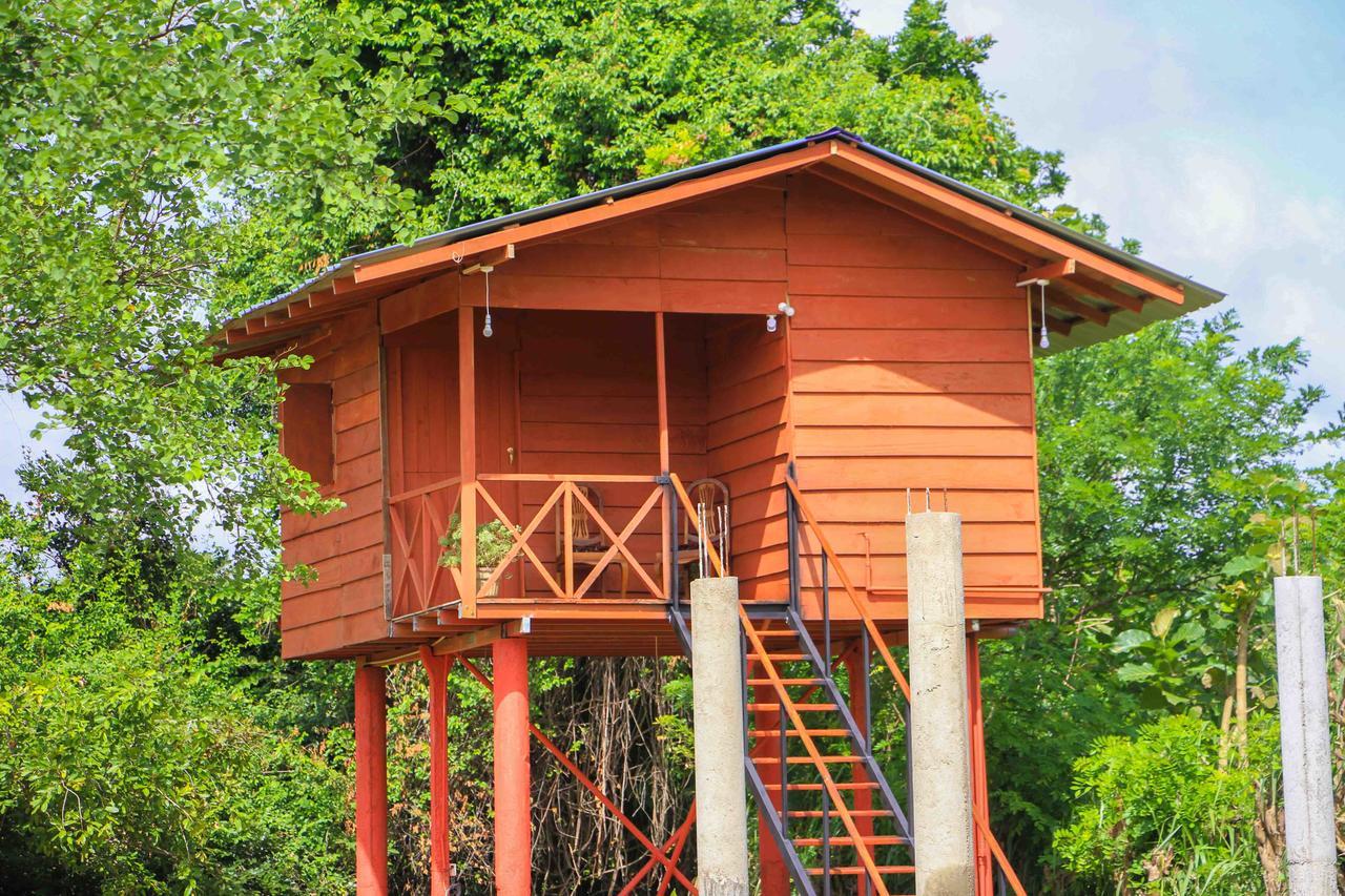Sigiri Royal Point Tree House Hotel Sigiriya Bagian luar foto