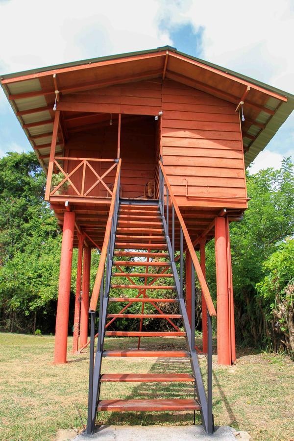 Sigiri Royal Point Tree House Hotel Sigiriya Bagian luar foto
