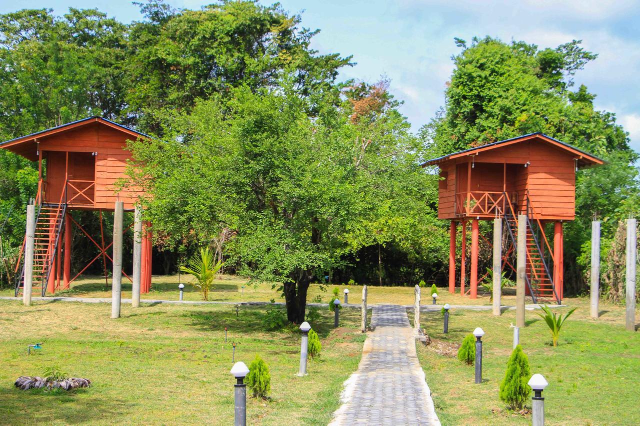 Sigiri Royal Point Tree House Hotel Sigiriya Bagian luar foto