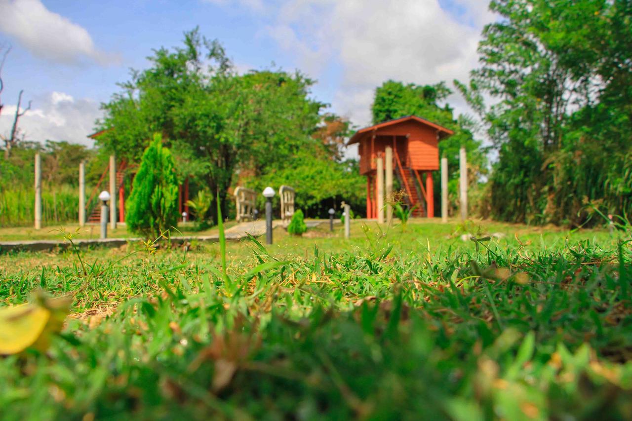 Sigiri Royal Point Tree House Hotel Sigiriya Bagian luar foto