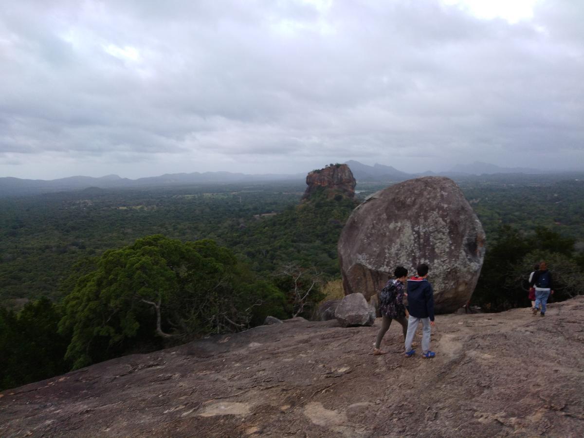 Sigiri Royal Point Tree House Hotel Sigiriya Bagian luar foto