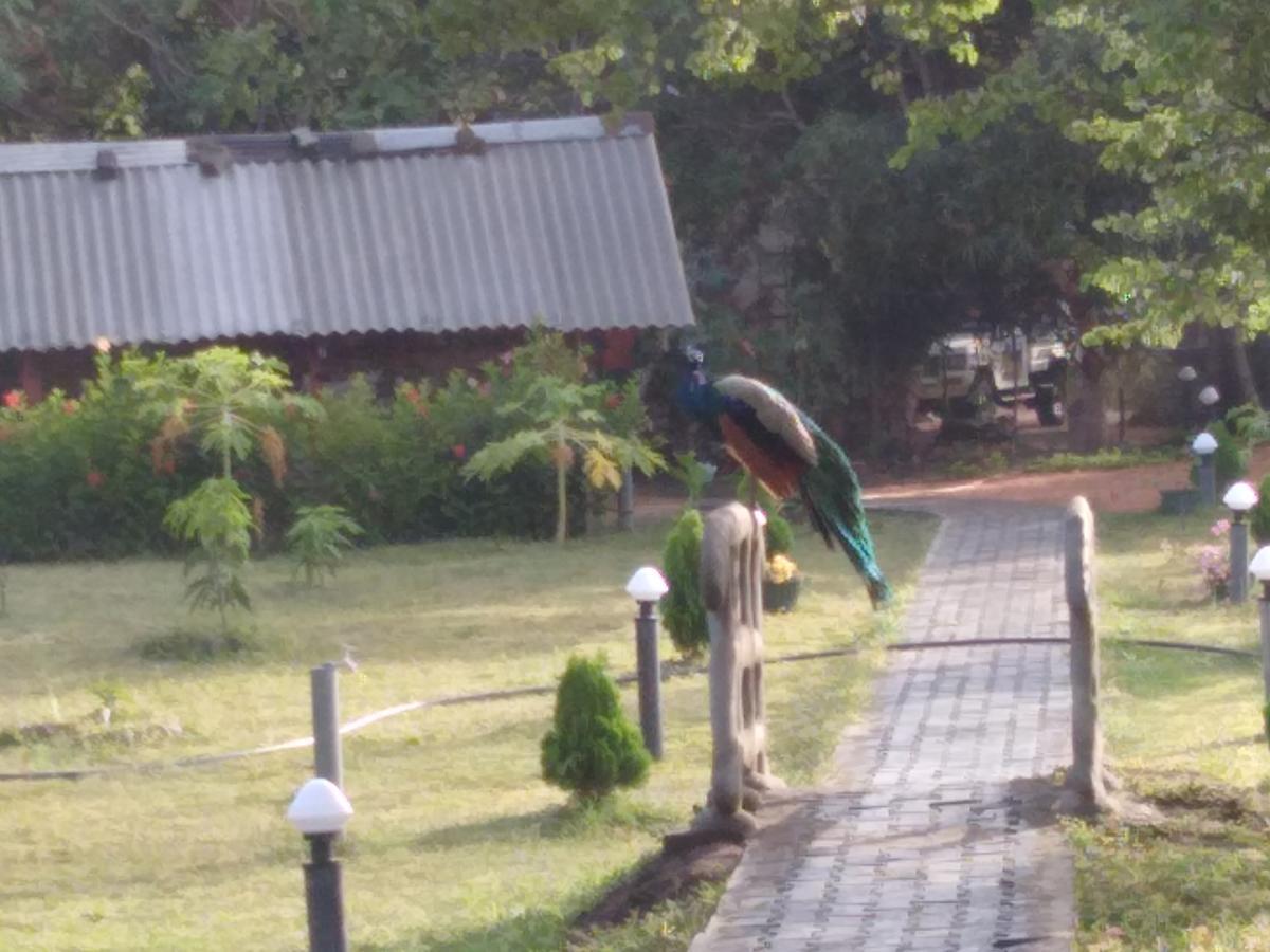 Sigiri Royal Point Tree House Hotel Sigiriya Bagian luar foto