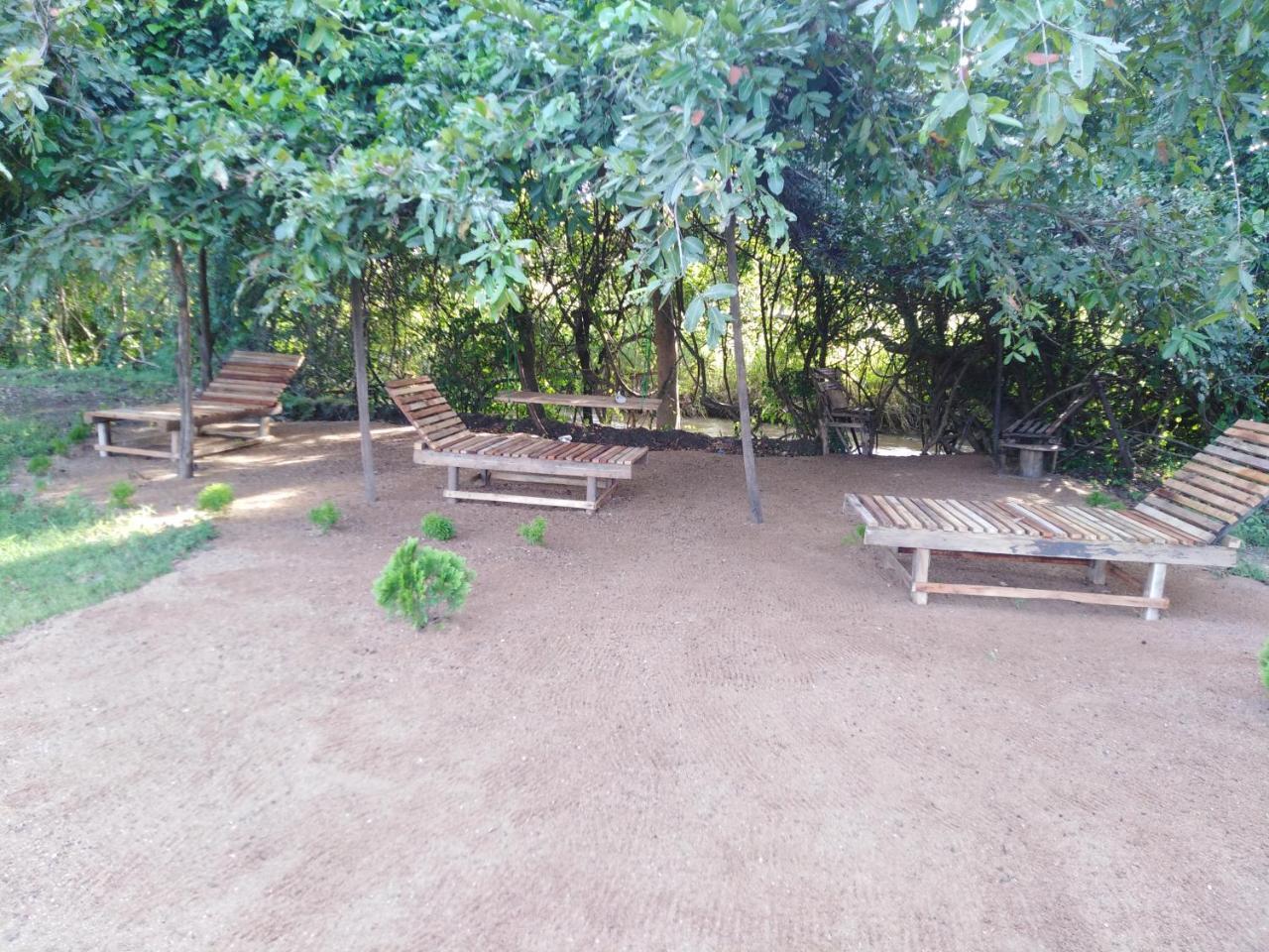 Sigiri Royal Point Tree House Hotel Sigiriya Bagian luar foto