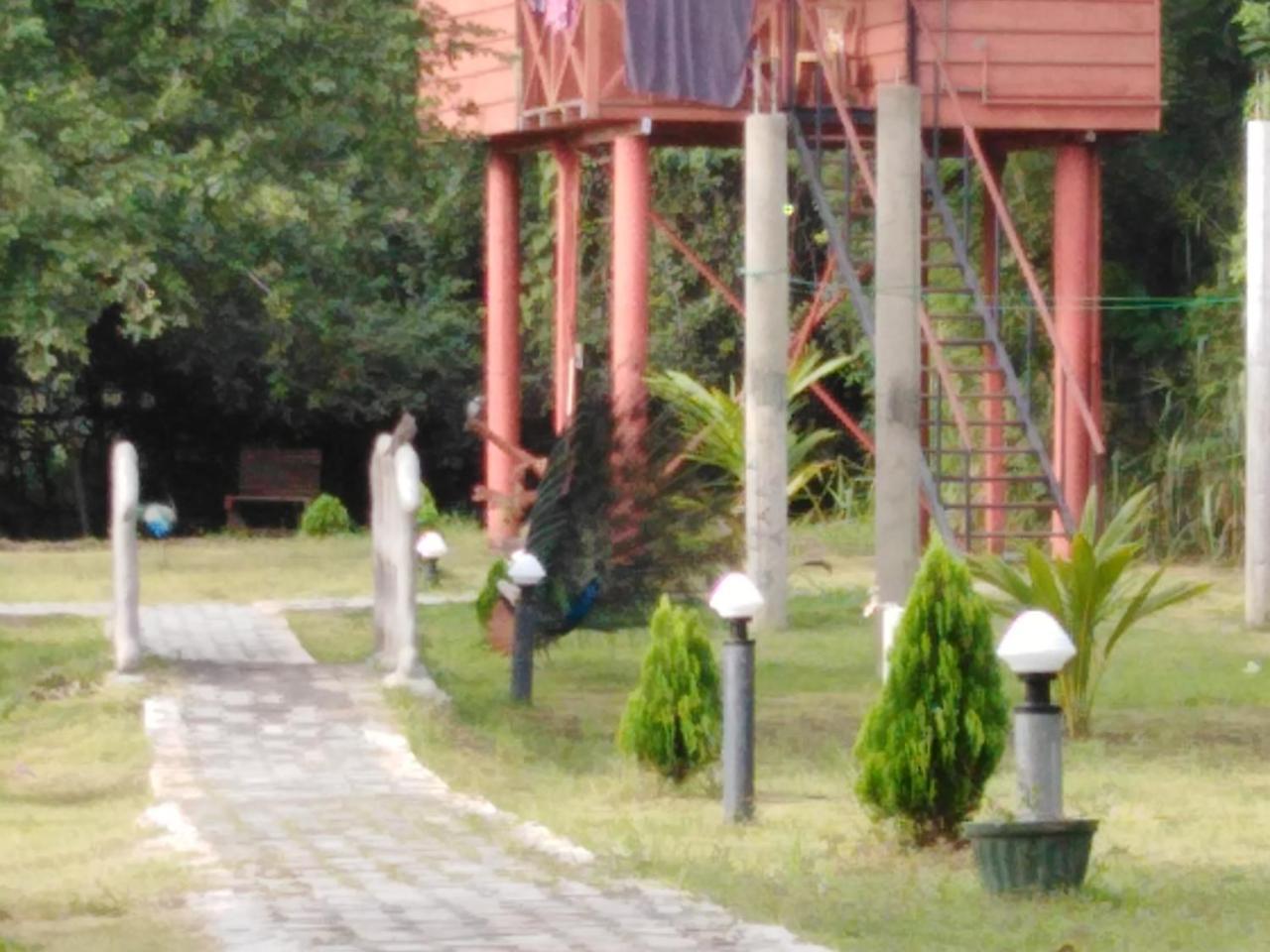 Sigiri Royal Point Tree House Hotel Sigiriya Bagian luar foto