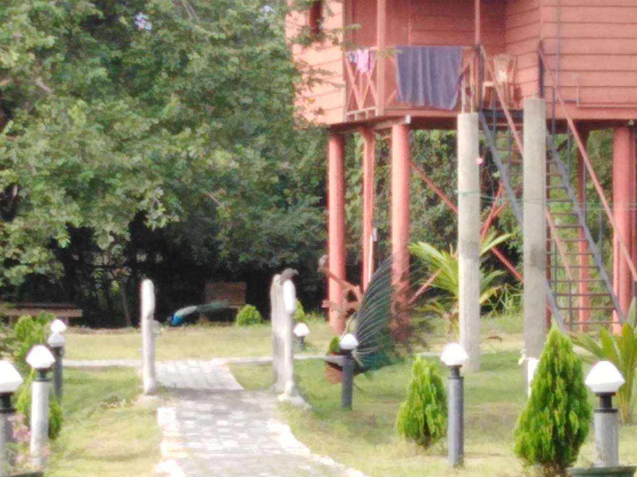Sigiri Royal Point Tree House Hotel Sigiriya Bagian luar foto